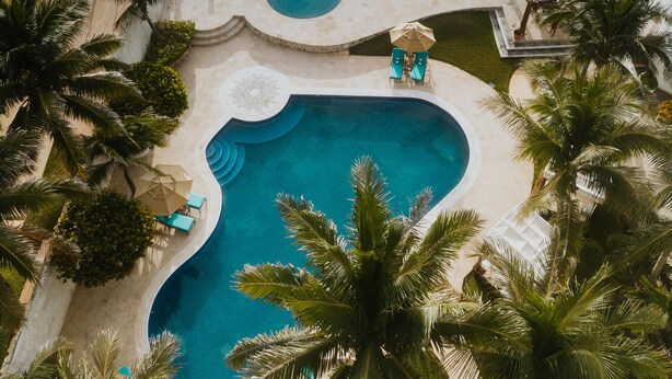 Une piscine au design incurvé, entourée de palmiers et offrant une vue sur la plage.