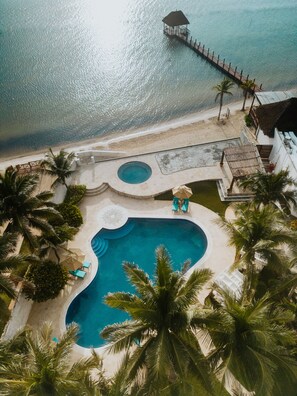 Una piscina de diseño curvo, rodeada de palmeras y vistas a la playa.