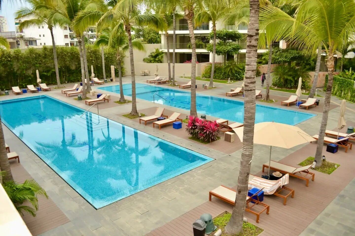 A swimming pool with lounge chairs and palm trees.