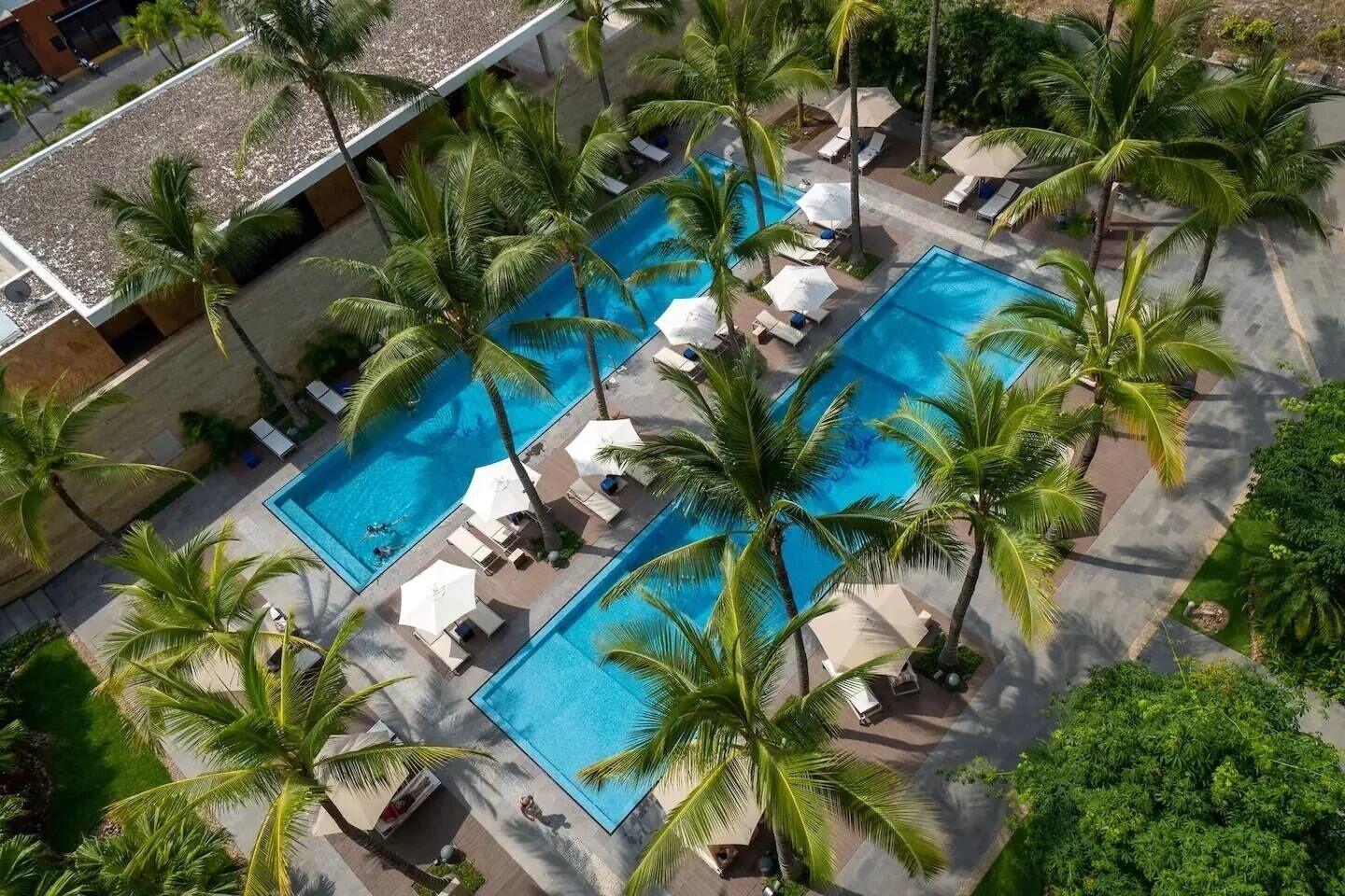 A large outdoor swimming pool surrounded by palm trees and lounge chairs.