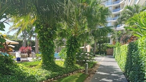 A pathway lined with lush greenery and palm trees, leading to a modern building with balconies. - CONDO NIM BY TRVL2HM (Puerto Vallarta)