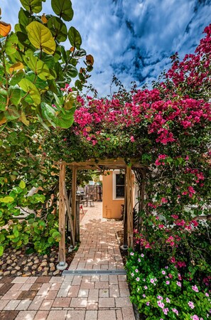 Puutarhapolku johtaa puiseen pergolaan, jonka ympärillä kiipeilee vaaleanpunaisia bougainvillea-kukkia.
