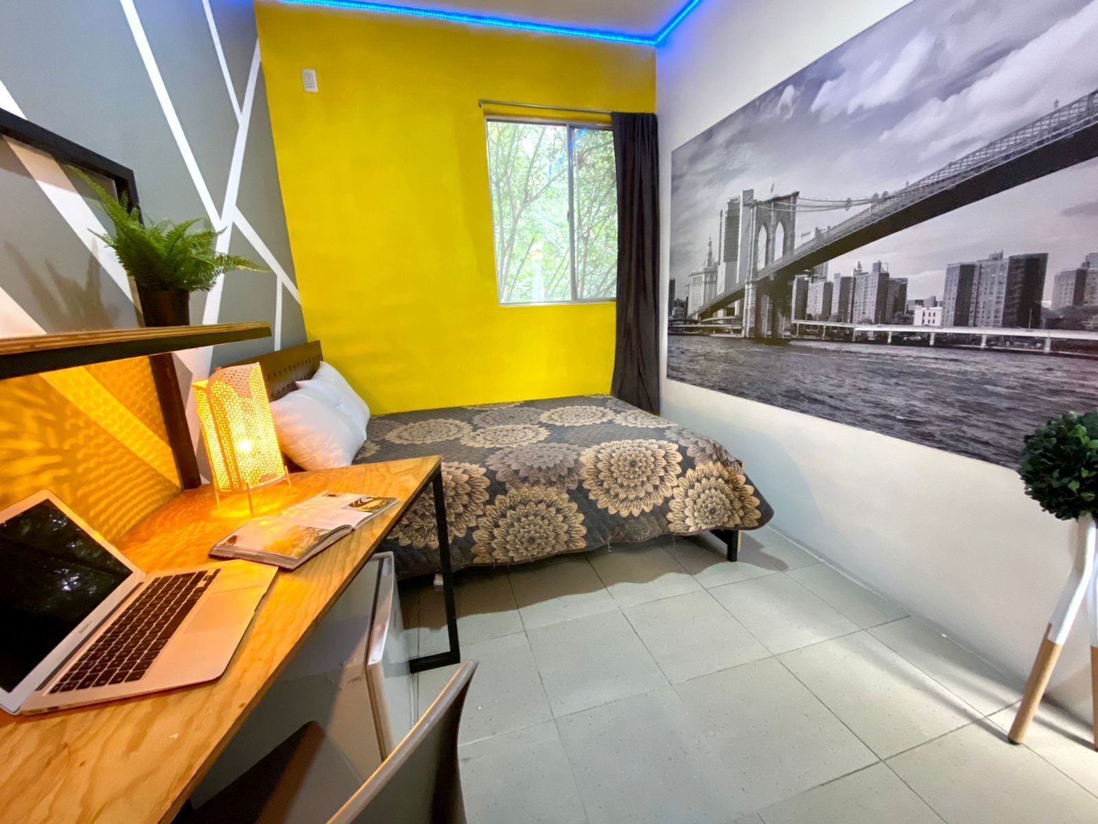 Photo - OSTOK condesa pequeño hostal