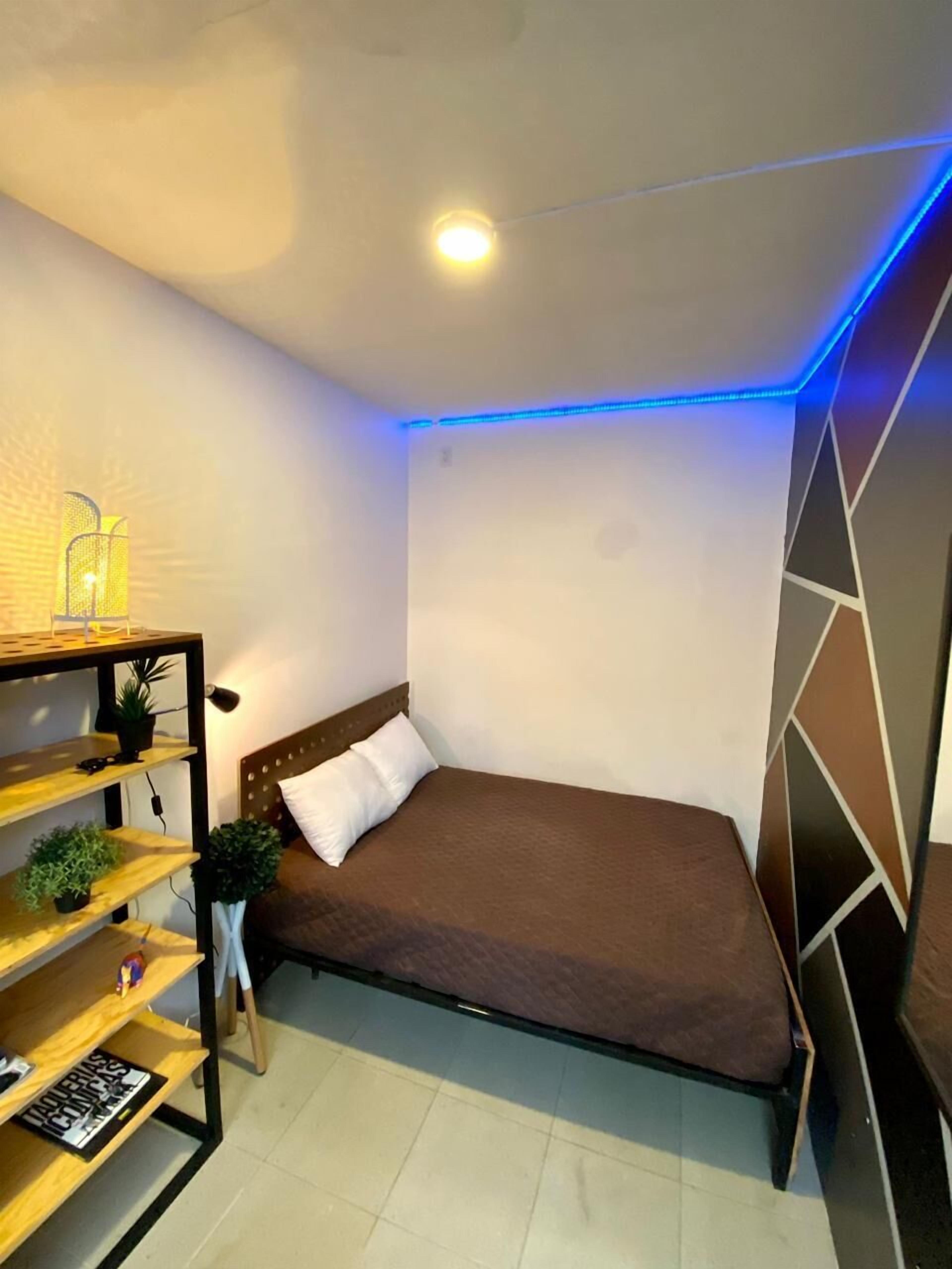 A small, neatly arranged bedroom with a single bed, a shelf with plants, and a wall with geometric patterns.