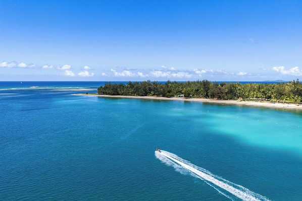 A coastal view with a clear sky, a boat creating a wake, and a beach with trees.