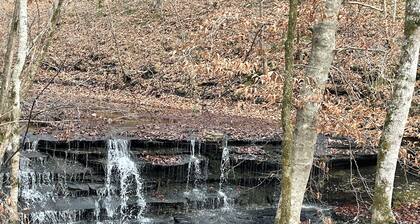 Little Off Grid Cabin! Close to Downtown Leipers Fork!