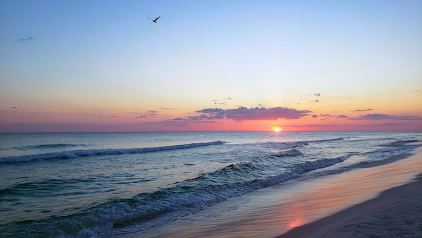 A beach with waves, a sunset, and a bird flying. - Beach Blossom Villa - Privacy and Perfect Location (Fort Walton Beach)