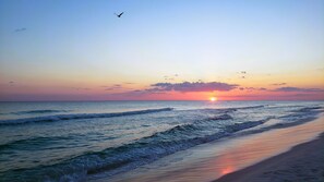 A beach with waves, a sunset, and a bird flying.