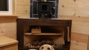 Un chien est allongé sur un plancher en bois dans une pièce dotée d’une cheminée et d’une fenêtre.
