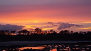 Imagen sin descripción, 5 de 39, botón