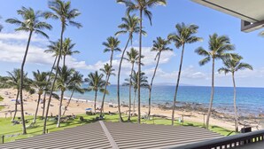 Blick auf einen Strand mit Palmen und blauem Himmel.