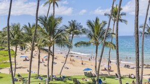 Ein Strand mit Palmen, badenden Personen und Sonnenschirmen.