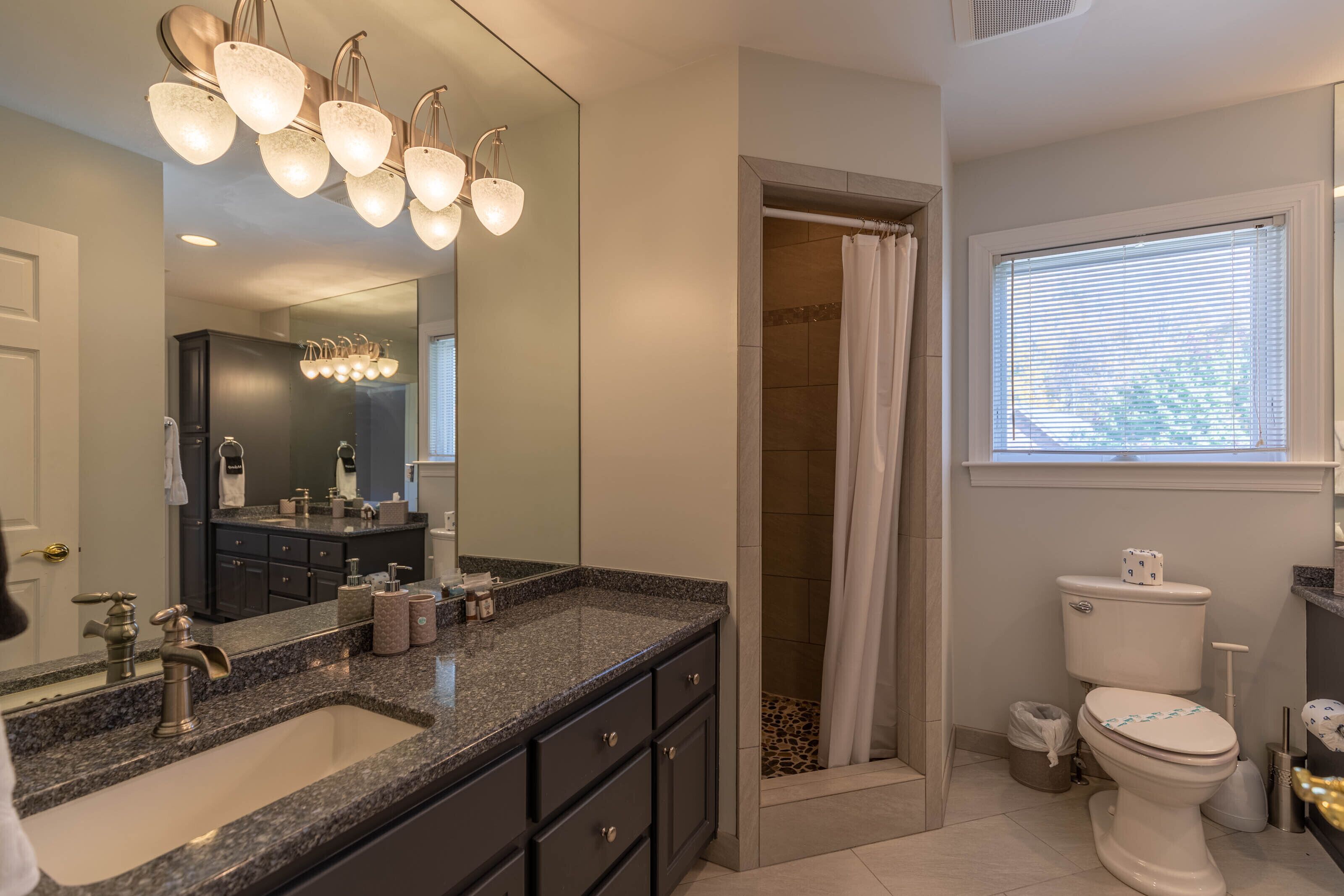 A modern bathroom with a granite countertop sink, dark cabinets, a large mirror, a shower with a curtain, and a toilet with a bidet attachment.