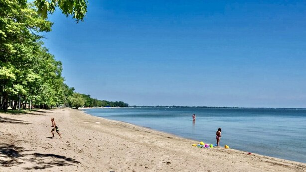 Uma praia arenosa com árvores e um mar calmo.