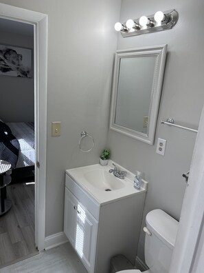 Une salle de bain avec un lavabo, un miroir et des toilettes, le tout de couleur blanche. Un petit pot de fleurs est posé sur le comptoir du lavabo.