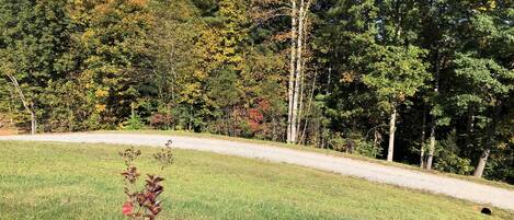 A grassy area with a gravel path, surrounded by trees with autumn foliage.