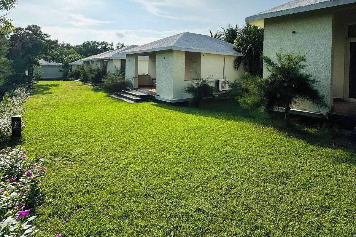 A row of single-story houses with a well-maintained lawn and small garden beds.