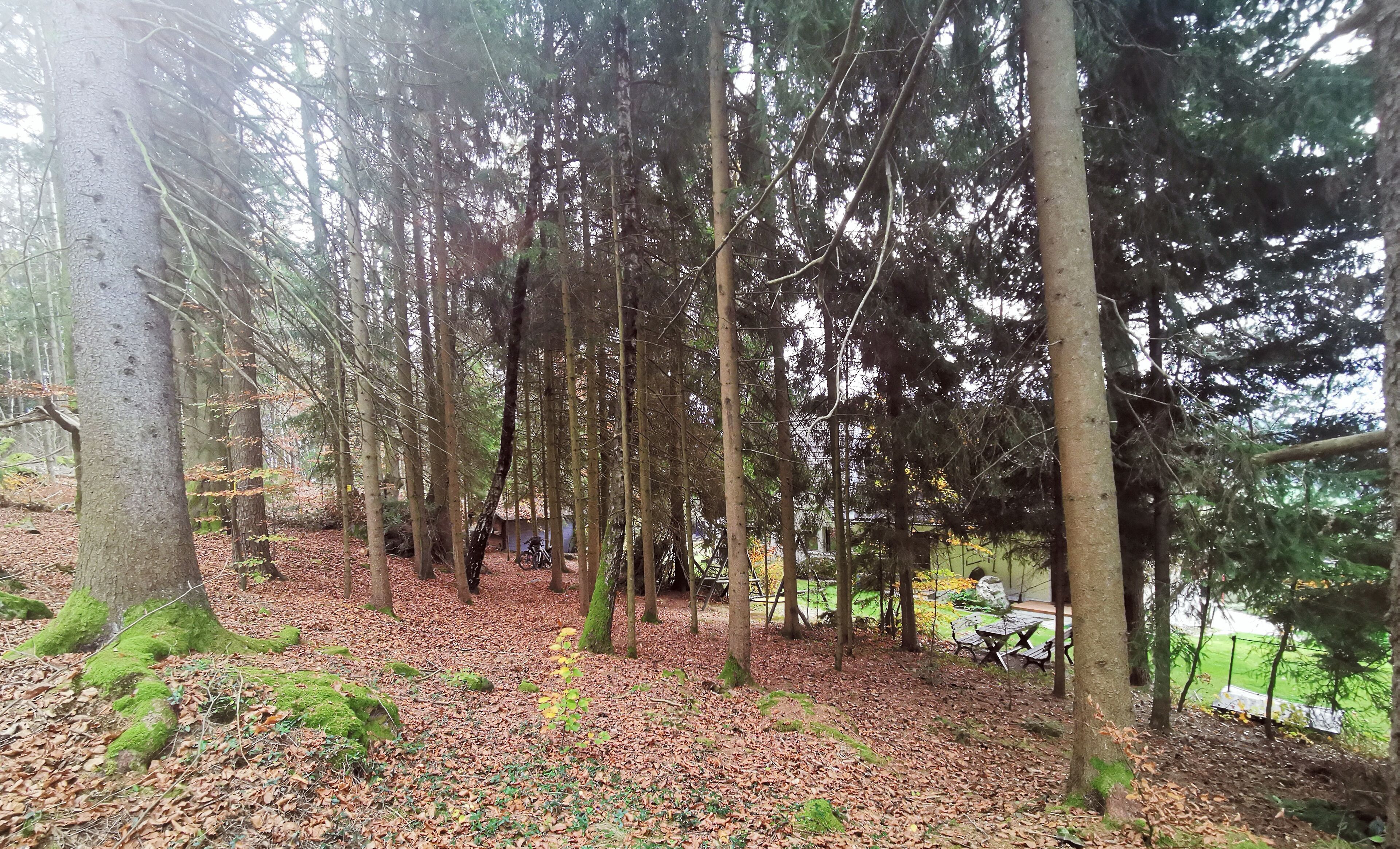 A forested area with a picnic table and benches.