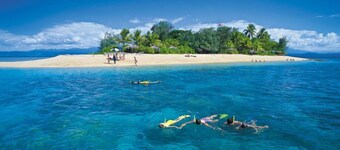 Tropical Oasis In The Centre Of Town