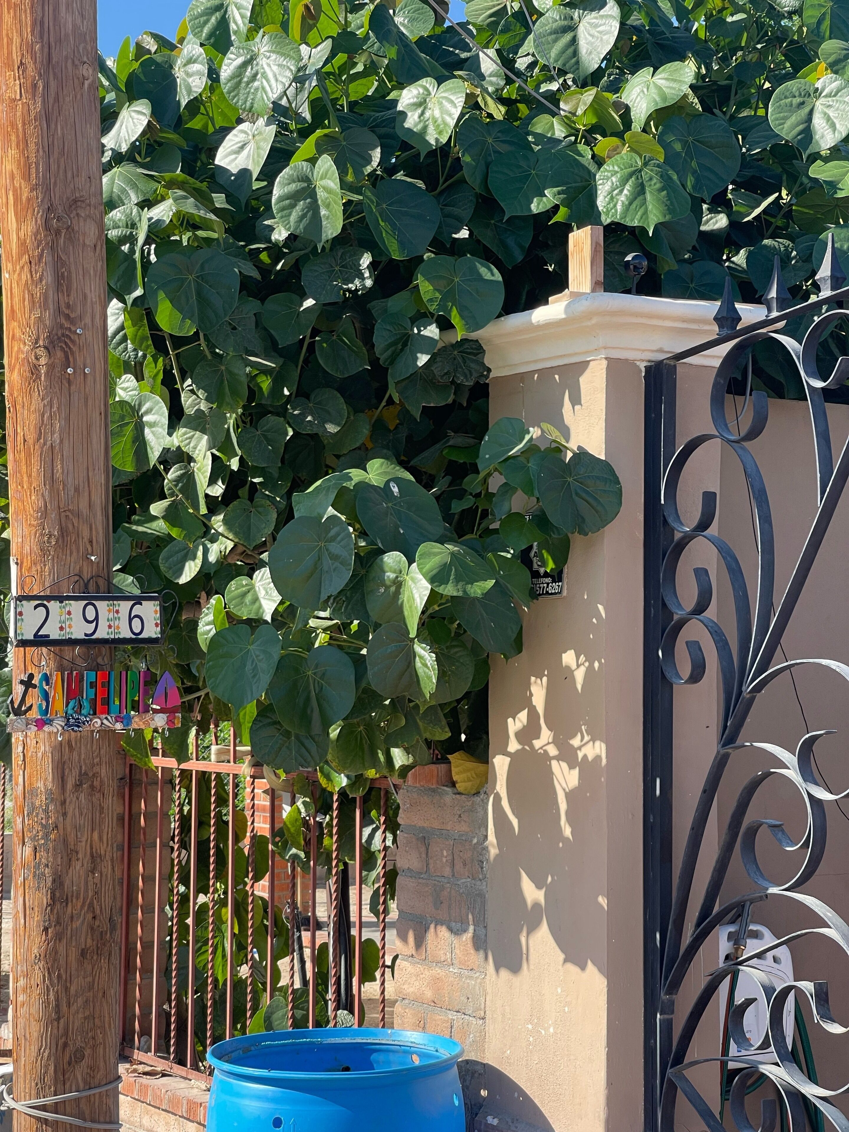 Details aan de buitenkant