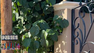 Details aan de buitenkant