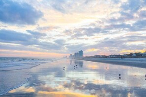 Uma praia com mar calmo, céu limpo e edifícios ao longe.