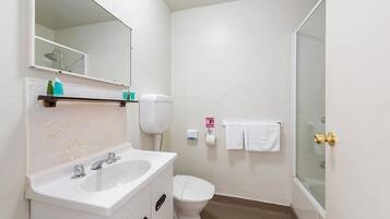 A small bathroom with a white sink, a toilet, and a shower.