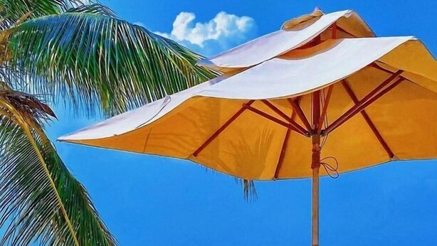 A beach umbrella with a white canopy and a yellow base, positioned under a palm tree. - Shenlan Urban Hotel Apartment (Wanlvyuan Friendship Sunshine City Branch) (Haikou)