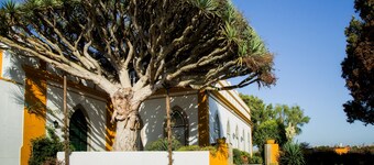 Casa Do Castelo