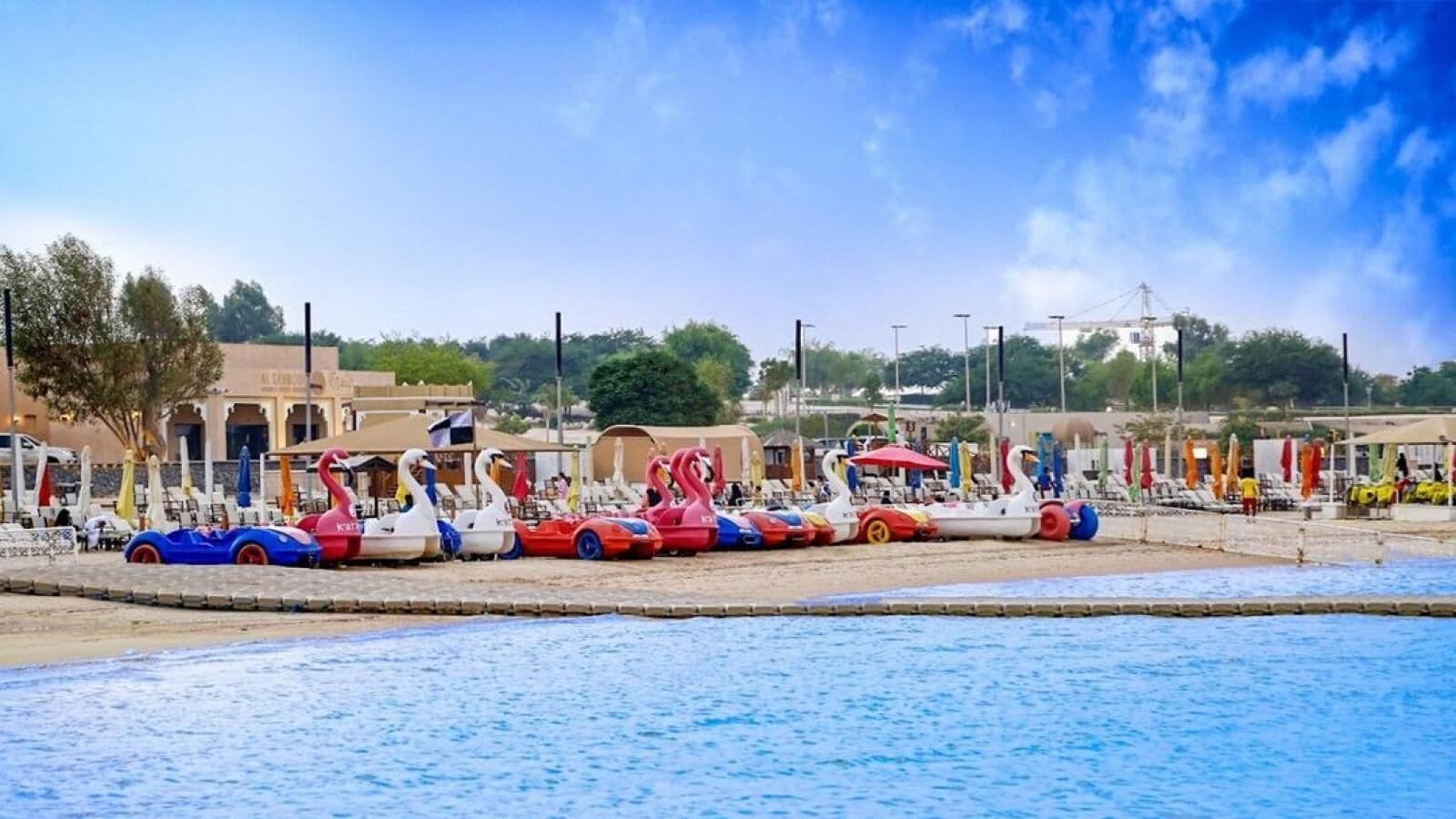 A beachside area with a row of colorful swan-shaped boats lined up along the water's edge.