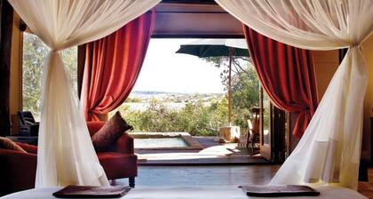 Safari Lodge- Amakhala Game Reserve