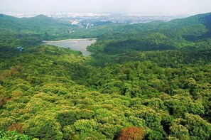 Vista aérea