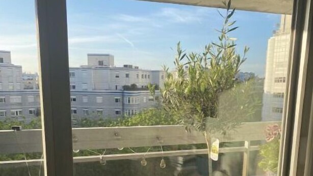 Ein Balkon mit einem Blumentopf, einem Stuhl und Blick auf Gebäude im Hintergrund.