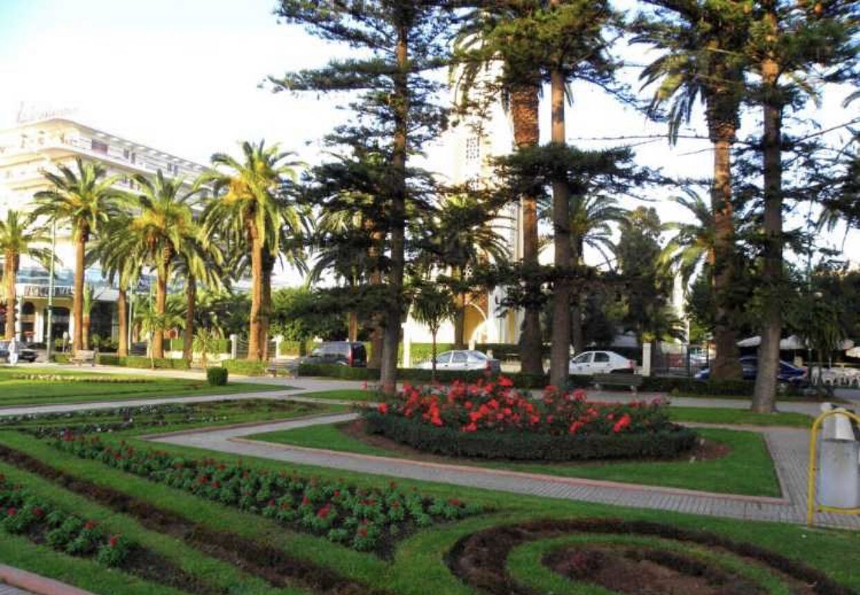 A landscaped garden with palm trees and a central flower bed.