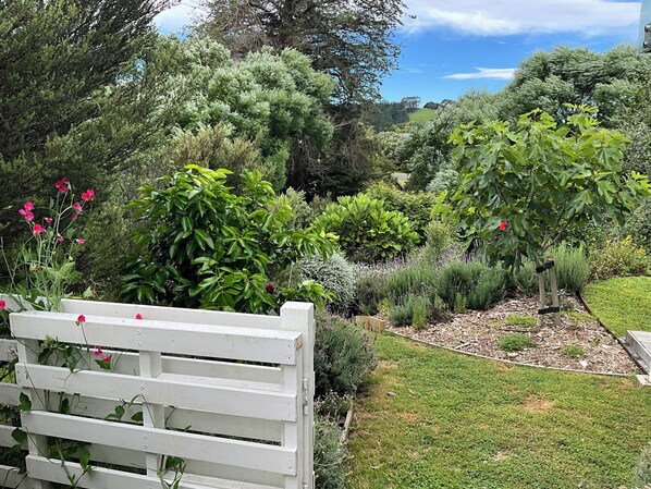 A garden with various plants and a white wooden fence. - Garden apartment Self-contained luxury just 5 mins walk to Village!  (Matakana)