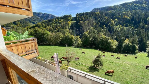 A balcony with a view of a green field with cows, surrounded by trees and hills.