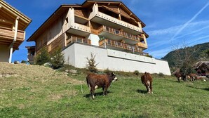 A multi-story wooden chalet with balconies, situated on a grassy hillside.
