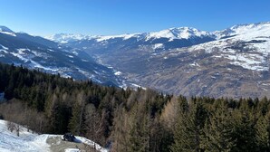 Un paisaje montañoso con picos nevados y bosques densos.