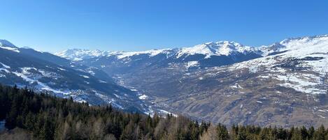 Paisagem montanhosa com picos nevados e florestas densas.