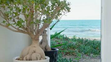 Vue depuis lâhĂ©bergement