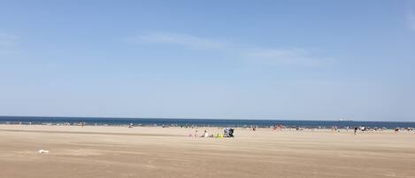 Plage à proximité