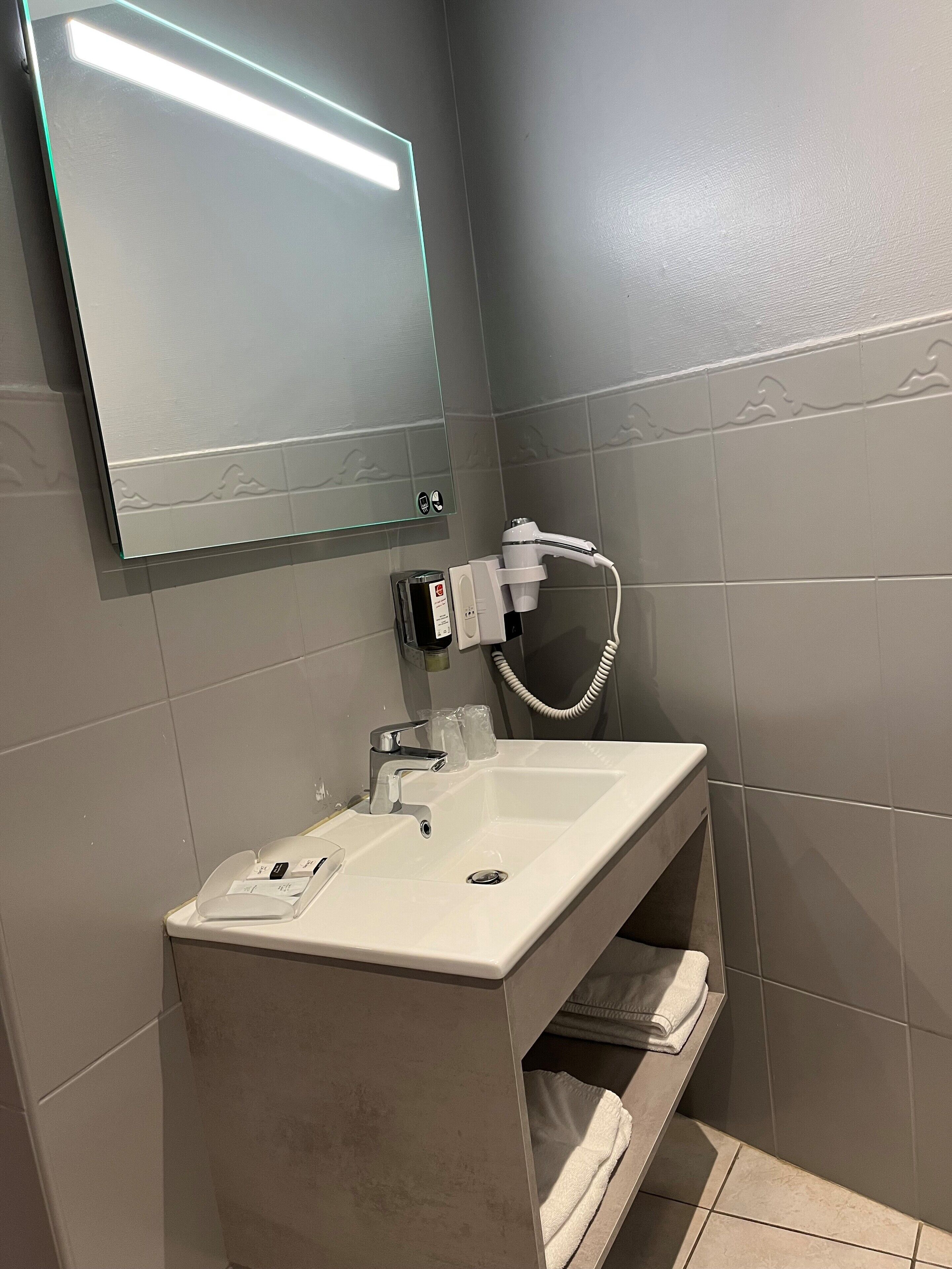 A bathroom with a white sink, a mirror, and a handheld showerhead.