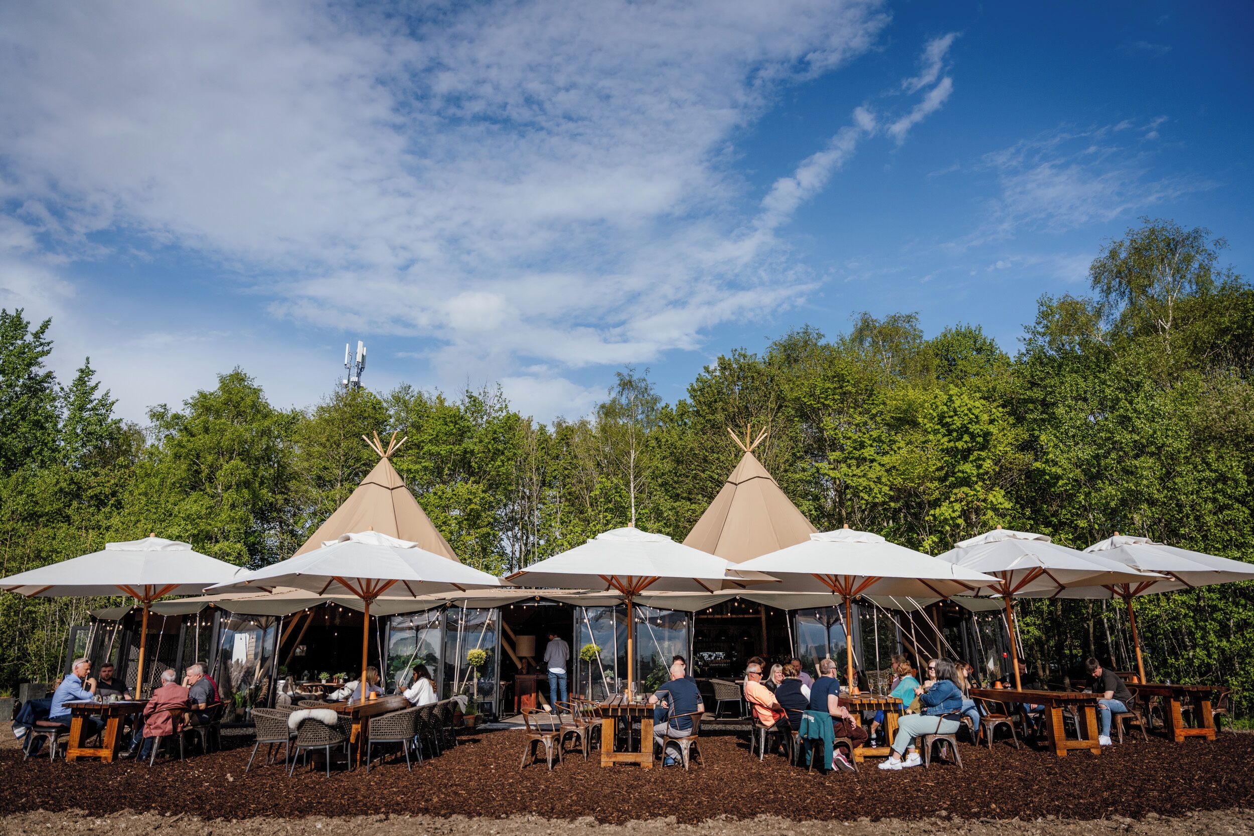 A dining area with outdoor tables and umbrellas, surrounded by trees.