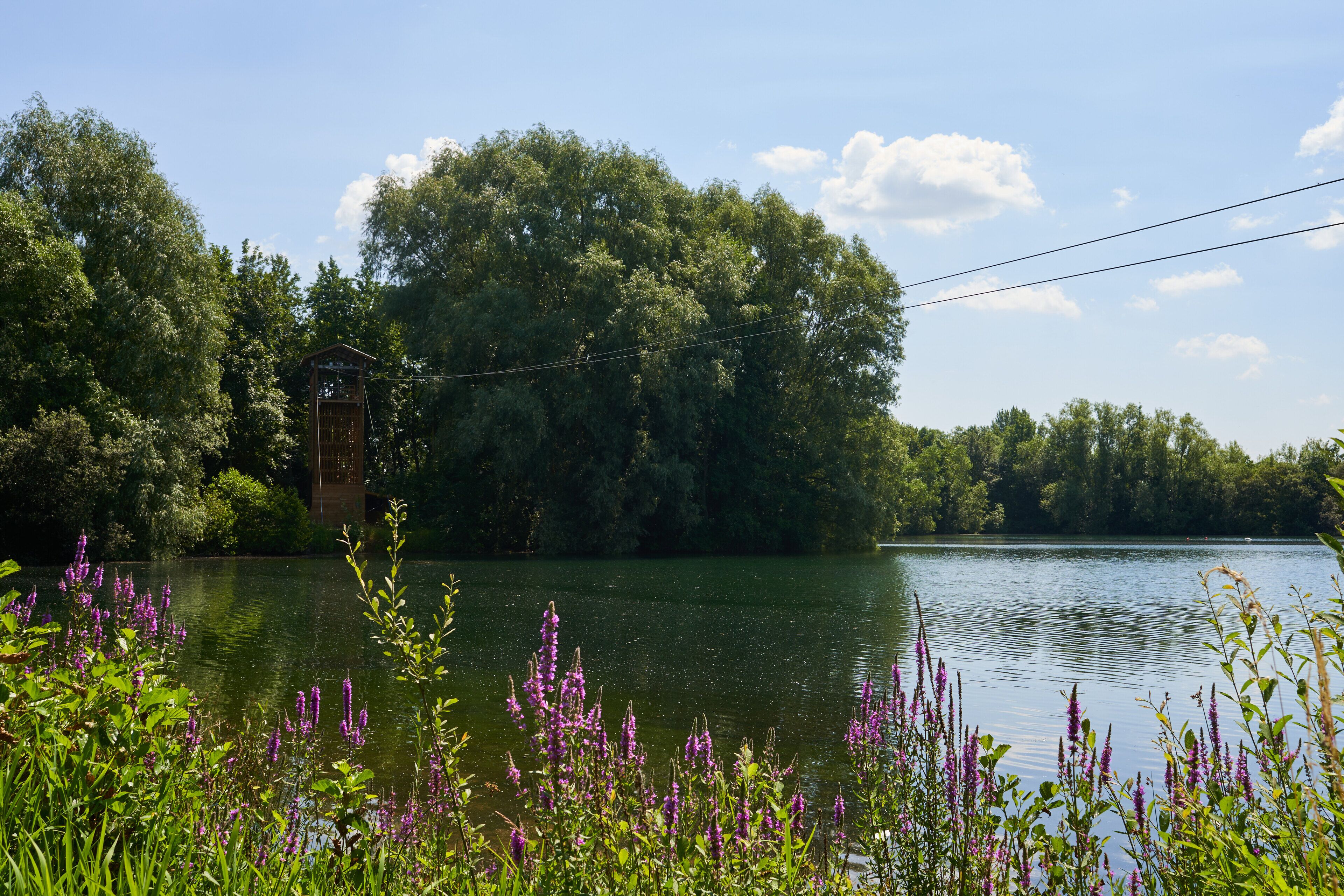 Un entorno tranquilo junto al lago, con una estructura de madera rodeada de abundante follaje y flores moradas.