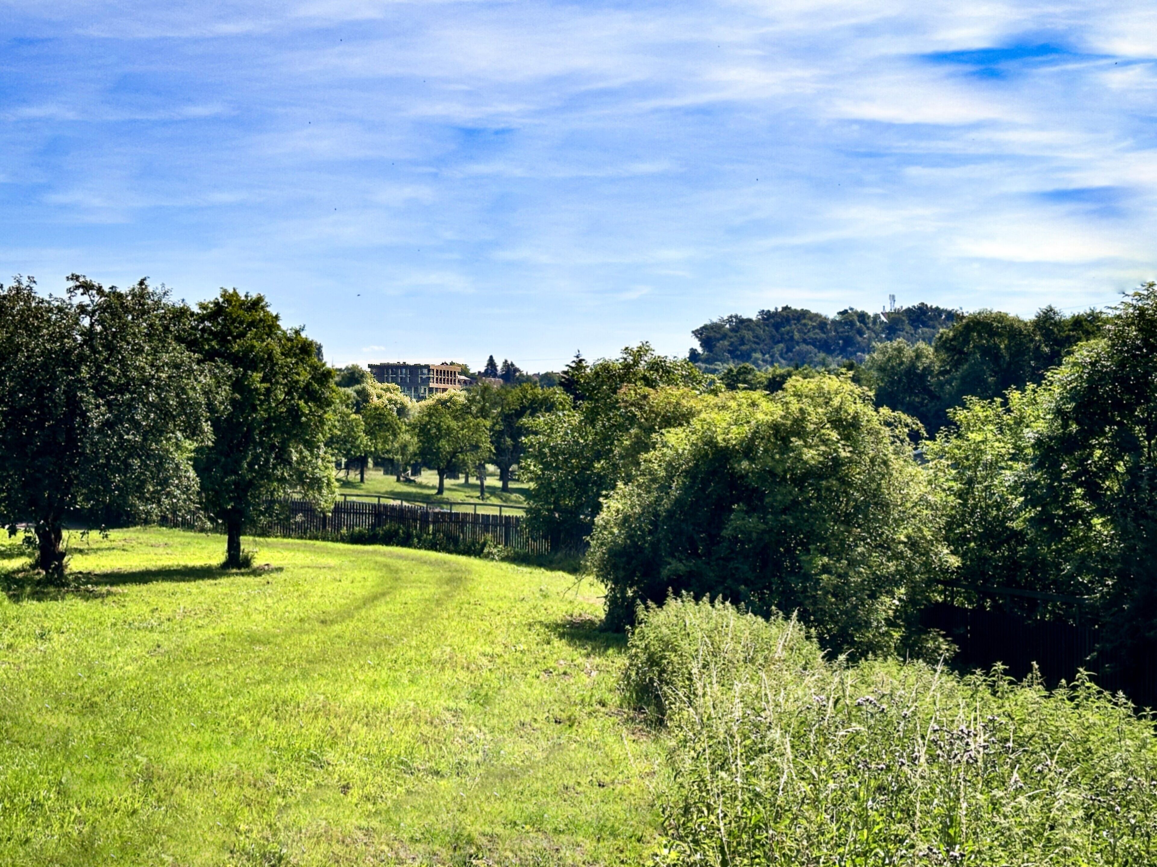 Ein grünes Feld mit Bäumen und einem Gebäude in der Ferne.