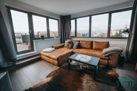 TV, video games, DVD player, books. Enjoy panoramic view of The Little Carpathian