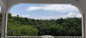 Property grounds - Chez Tatie Clo becomes Gray Coconut Sorbet (Le Moule)