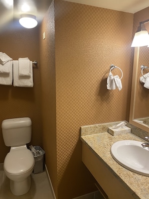 Ensemble douche/baignoire, serviettes fournies, savon, papier toilette