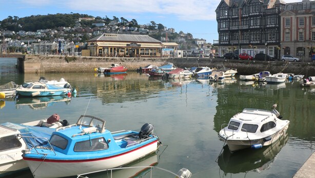 A harbor with various boats docked, a waterfront building, and a hill with houses in the background. - The Mew (Dartmouth)
