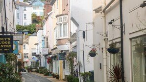 A narrow cobblestone street lined with colorful buildings, some with signs indicating local businesses. - The Mew (Dartmouth)